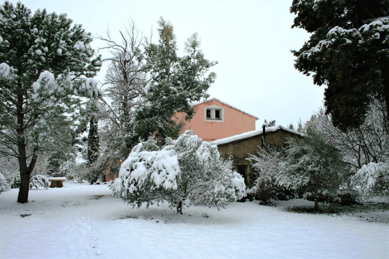 Le Mas De La Cigale Bleue, Caumont Sur Durance Dış mekan fotoğraf