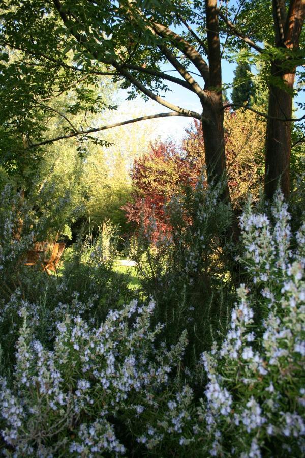 Le Mas De La Cigale Bleue, Caumont Sur Durance Dış mekan fotoğraf